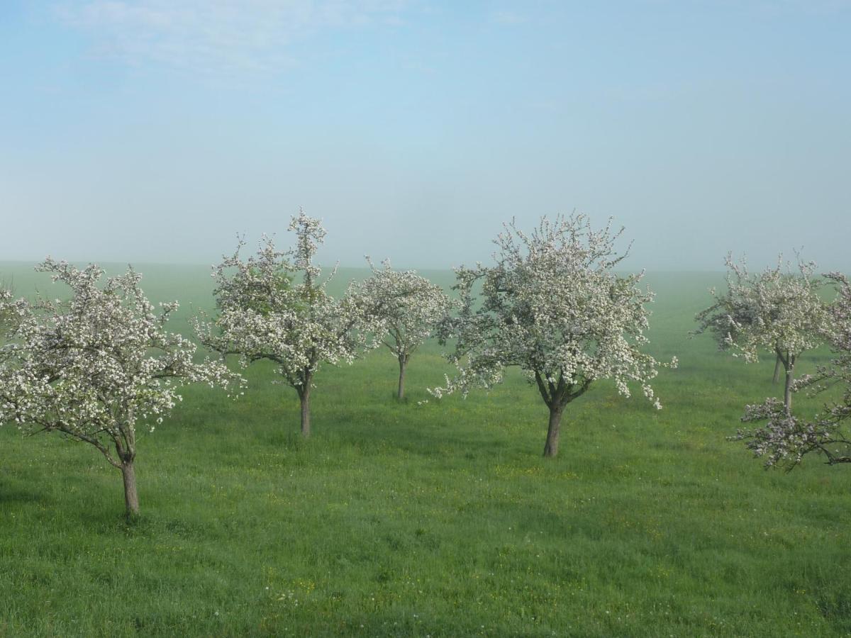 Domaine De L'Etre Bed & Breakfast Saint-Pierre-du-Regard ภายนอก รูปภาพ